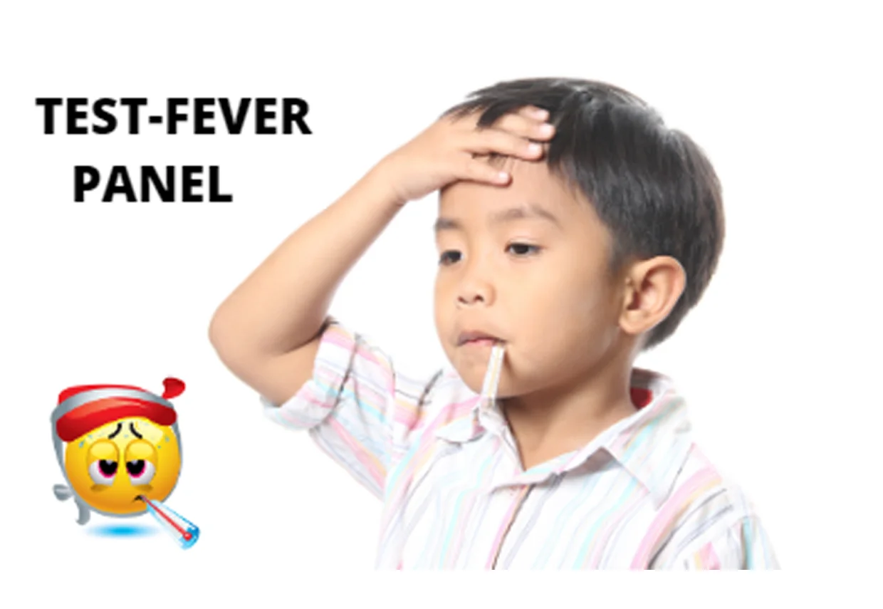 Fever Panel 4